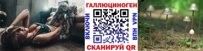 Галлюциногенные грибы Psilocybe что такое Задонск